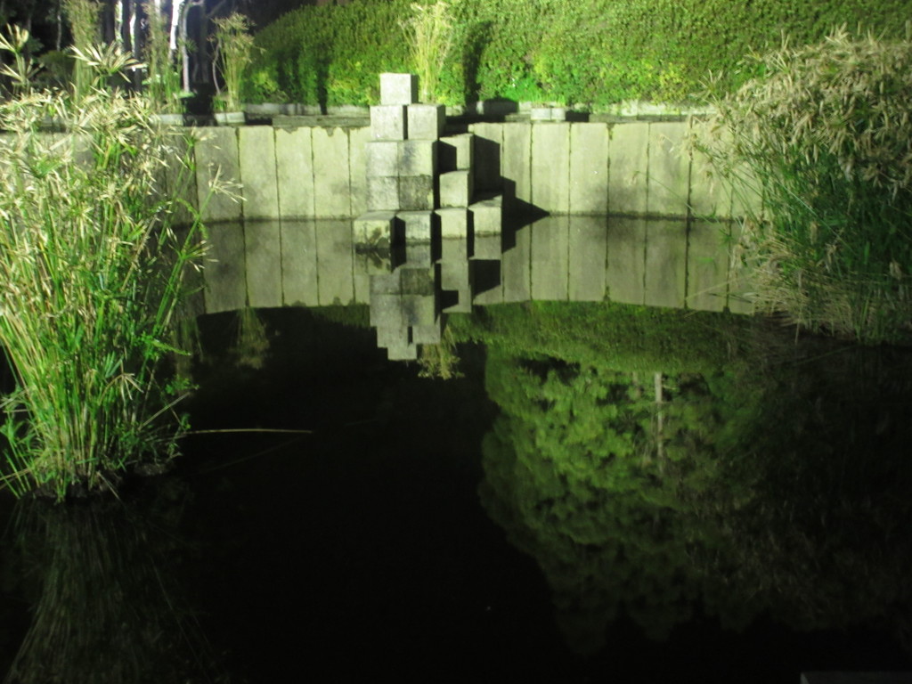 夜の池の水面