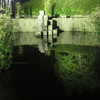 夜の池の水面