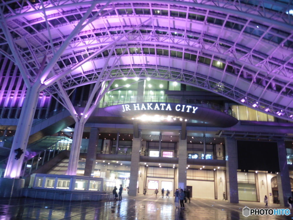 雨の日の桜イルミネーション③