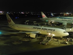 JAL  B767-300ER