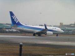 ANA  B737-700ER離陸