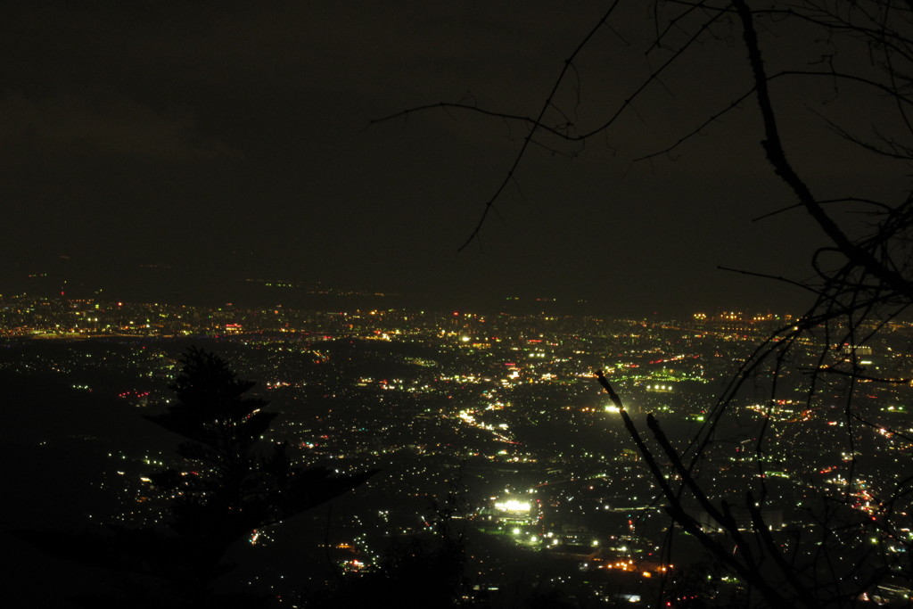 山頂からの夜景①