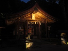 夜の神社の本殿
