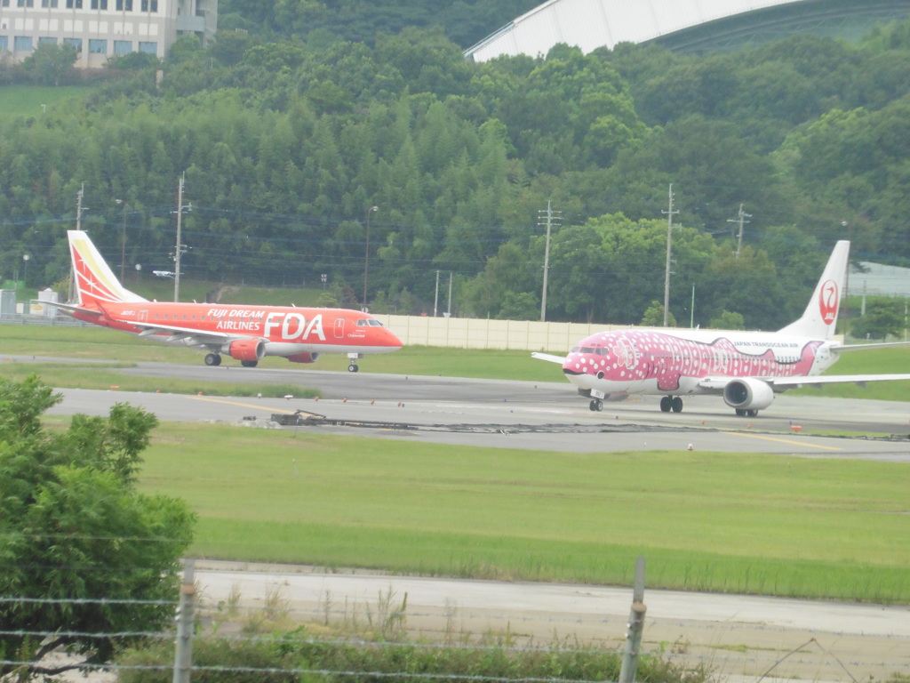 離陸待ちのFDAとピンクのジンベエ