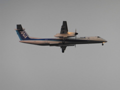 ANA　ボンバルディア着陸