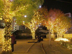 天神警固公園のイルミネーション　⑨