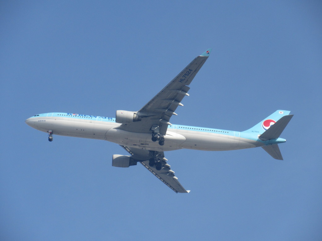 KOREAN AIR  A333のアプローチ