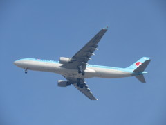 KOREAN AIR  A333のアプローチ