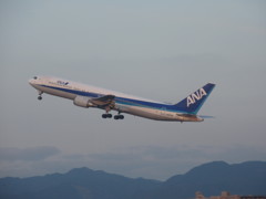 ANA　B767-300