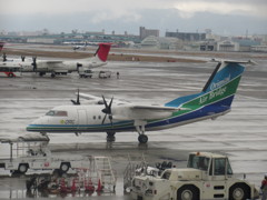 オリエンタルエアブリッジの到着