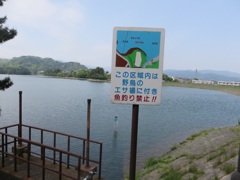 池と豊かなの緑の光景③