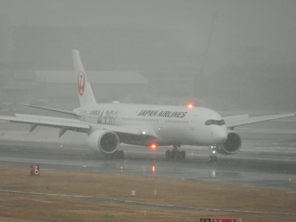 雪の福岡空港　⑩