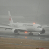 雪の福岡空港　⑩