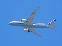 青空の下の離陸　ANA 787-8  
