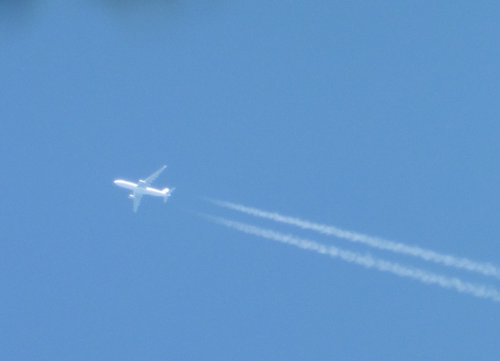 ついでに飛行機雲