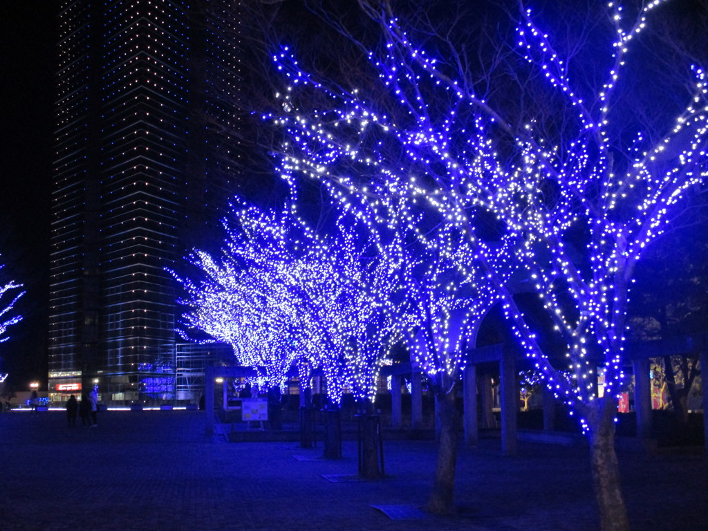 福岡タワーイルミネーション　③