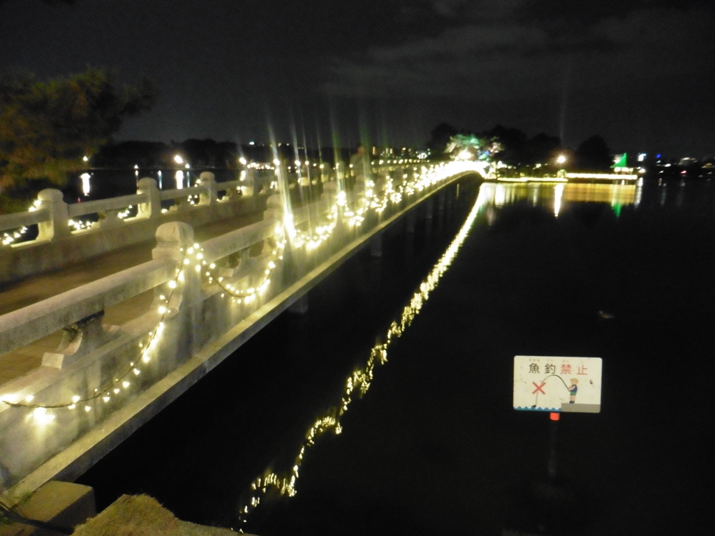 大濠公園とイルミ③
