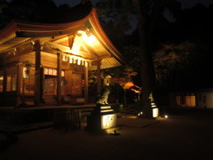 ライトアップされた神社の紅葉　②