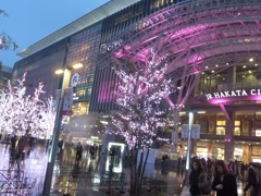 博多シティ桜イルミネーション③