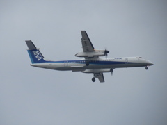 ANA　DHC8-Q400　福岡空港ランディング