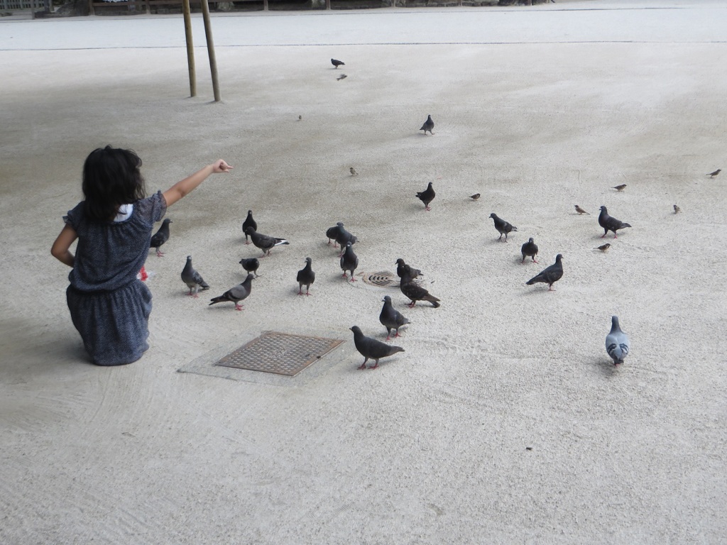 鳩に餌をあげてる少女