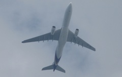 タイ国際航空を真下から撮影