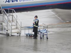 雨の中搭乗案内をするANA社員の女性