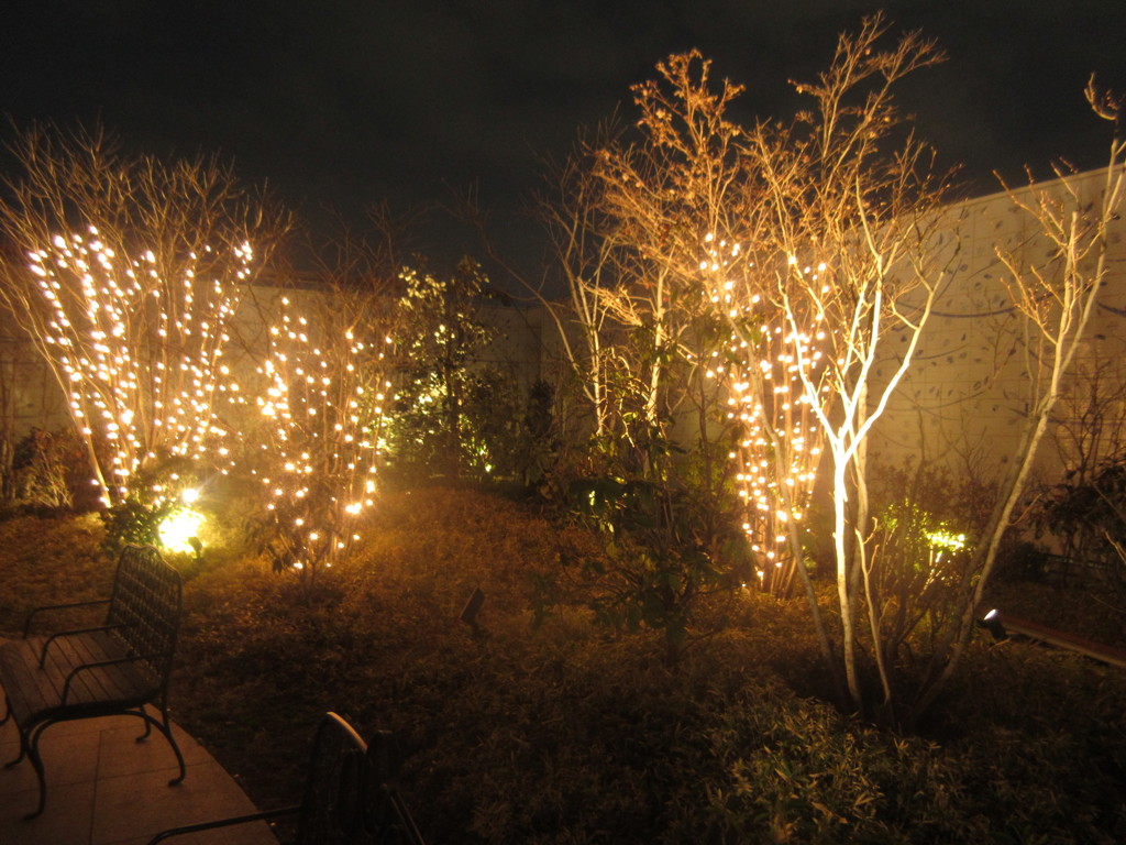 博多シティより①