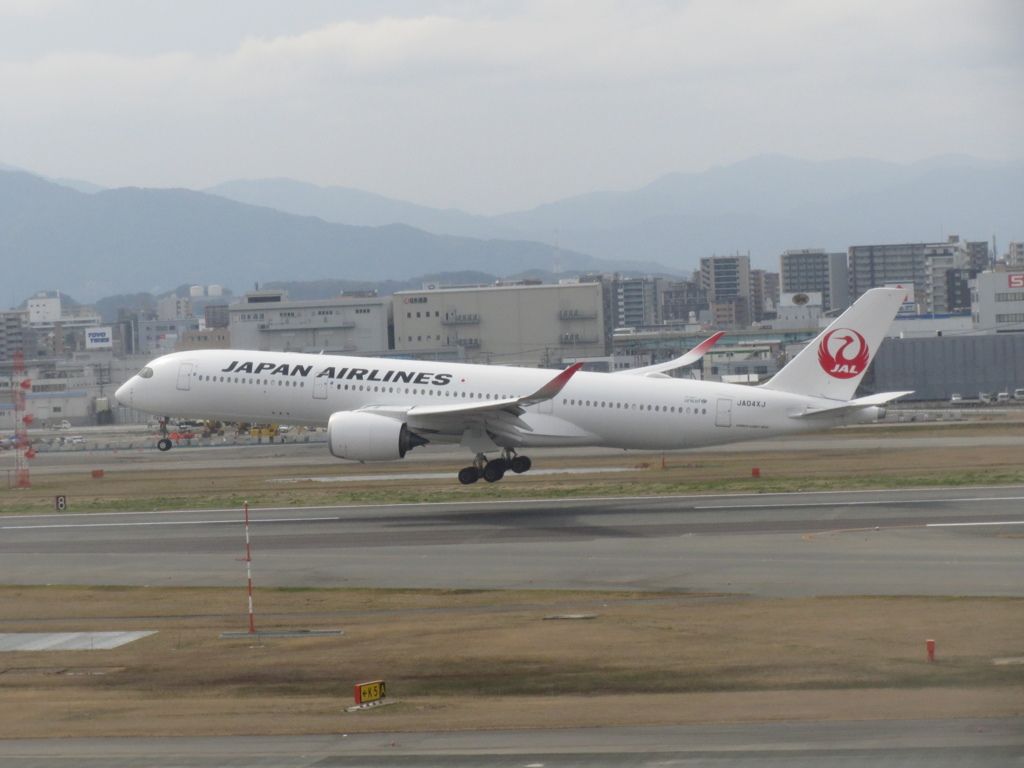 JAL  A350　福岡空港ランディング