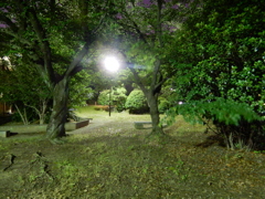 夜の公園　②