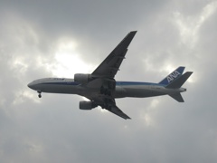 ANA  B777着陸