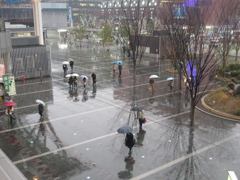 雨の日の博多駅付近にて①