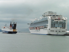 PANSTRA  FERRY　④