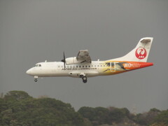 着陸　JAL
