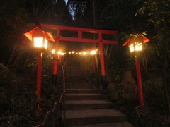 夜の鳥居と灯り