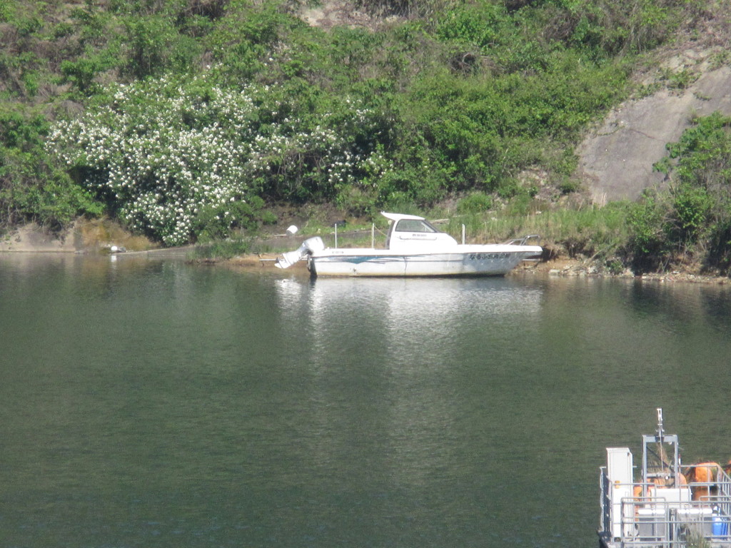 山奥のダムの光景②