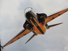 ブラックイーグルス