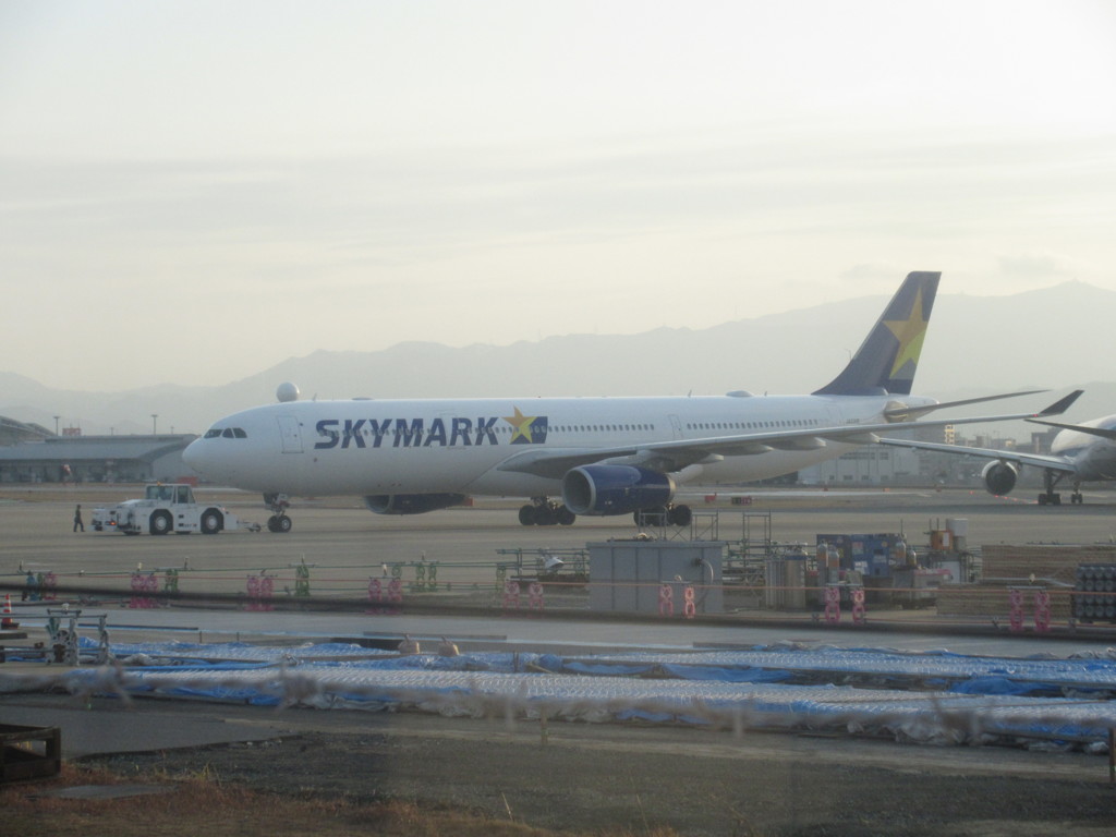 柵越しにSKYMARK　A330