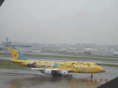 ANAのジャンボ③