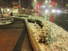 福岡市中央区天神の積雪の様子です③