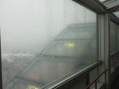 大雨の空港にて③