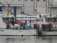 海上保安庁の職員らしき人たち