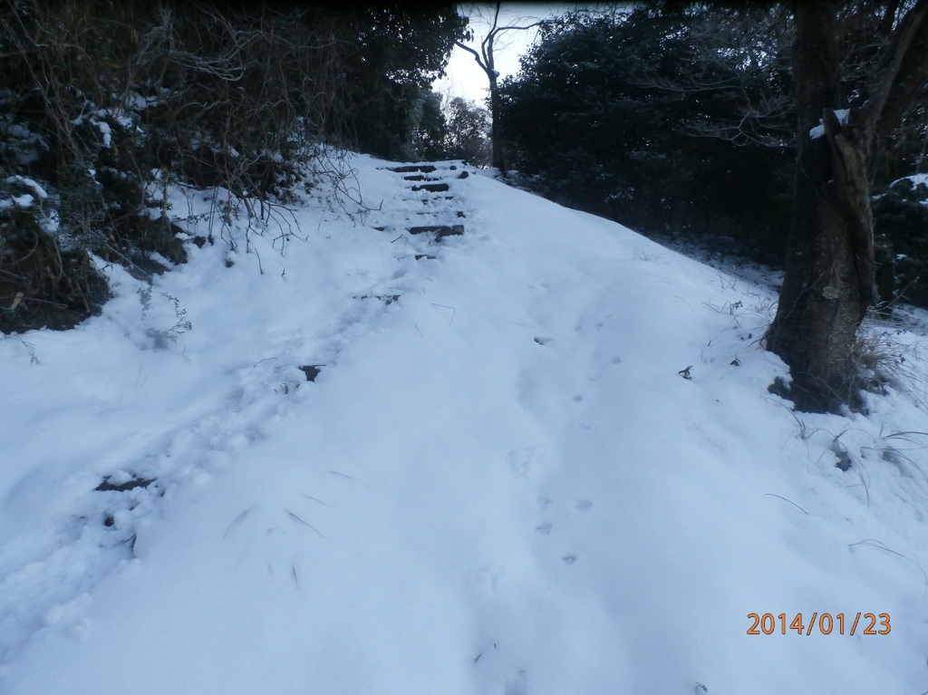 雪に深く覆われた登山道