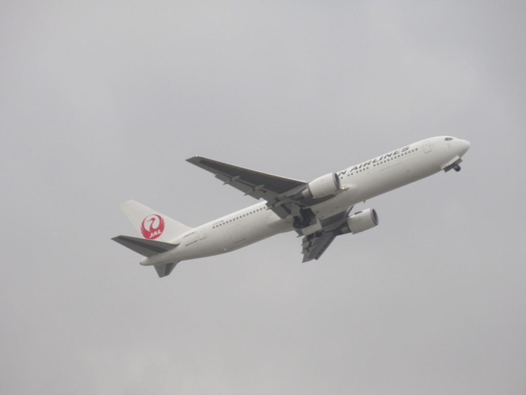 JAL　B767