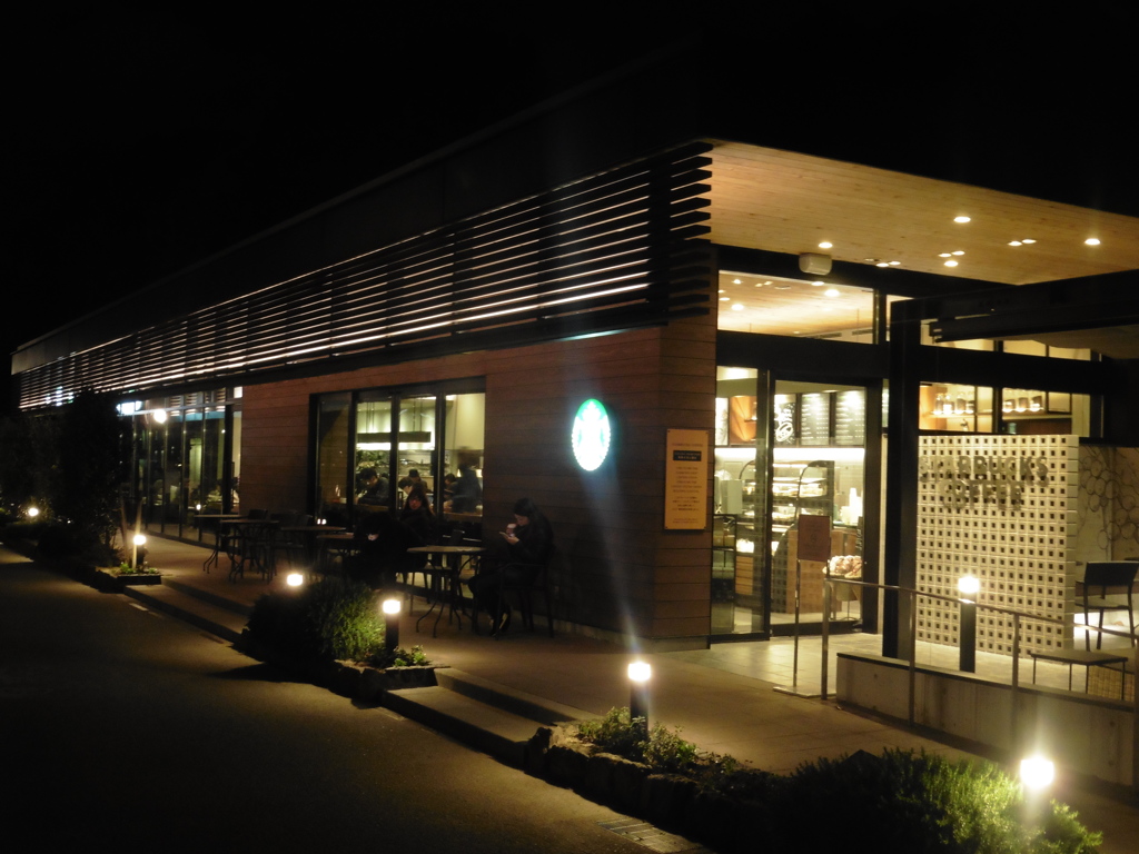 大濠公園とイルミ⑥