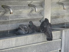 福岡のとある神社にて　②