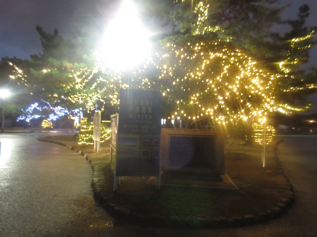 大濠公園のイルミネーション②