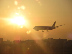 B787の着陸と夕日
