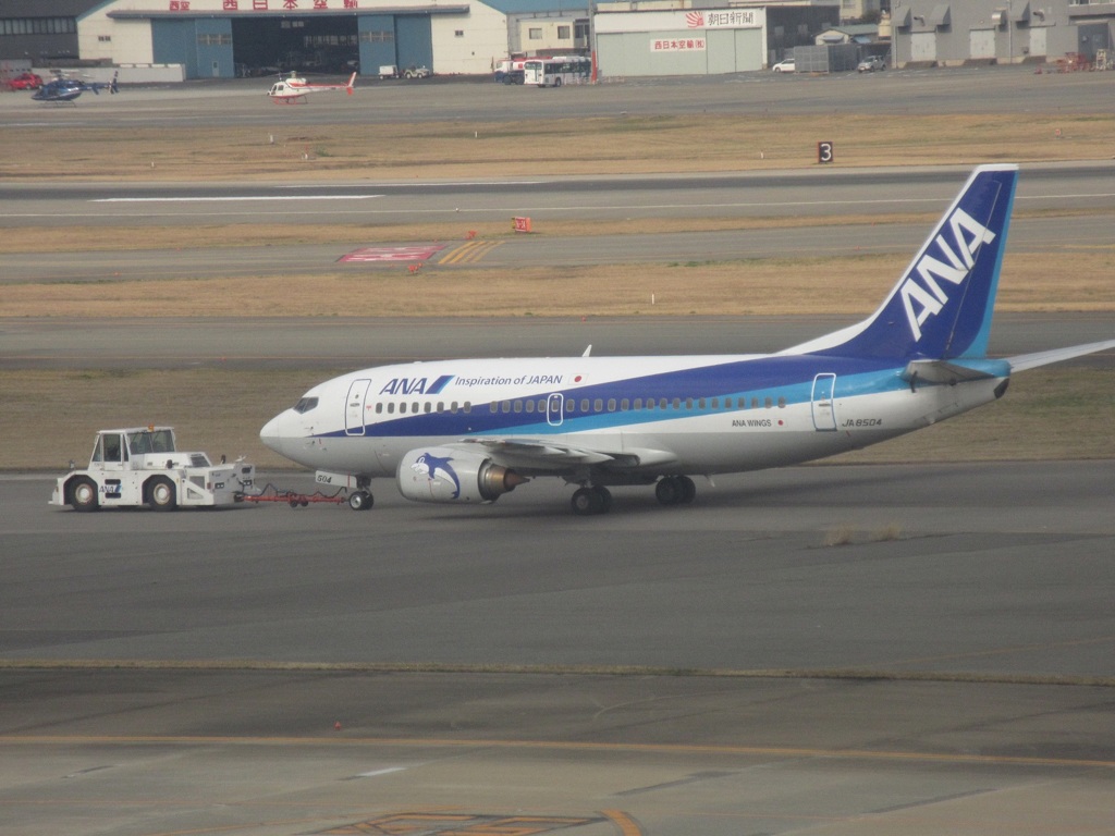 牽引されるドルフィン