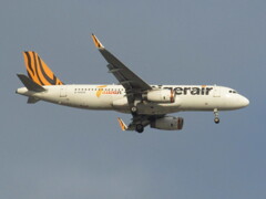 Tiger air  B-50008  福岡空港